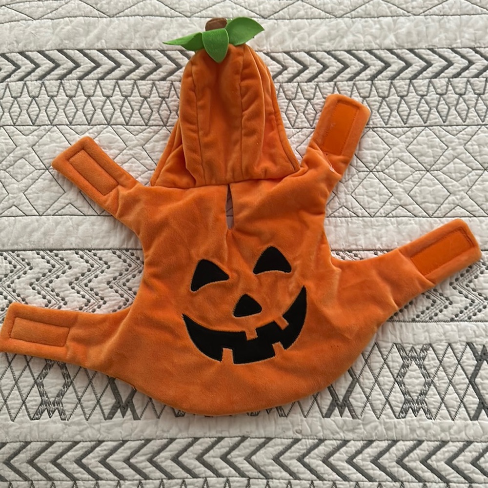 Pet Halloween Costume Jack-o-lantern 🎃